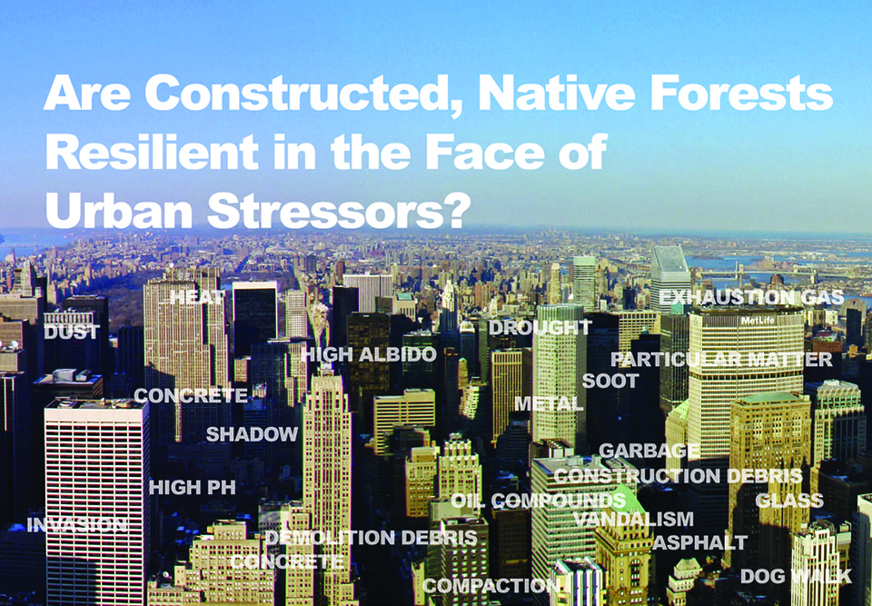 Felson_Are Constructed_Urban Stressors