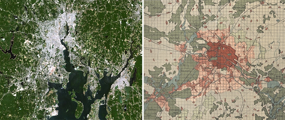 Forest cover maps