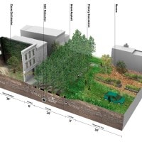 Urban Regeneration: Foresting Vacancy In Philadelphia | Scenario Journal