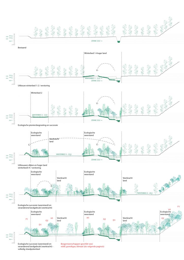 Flood + Forest: A Migration Corridor for Reconnecting the Brussels ...